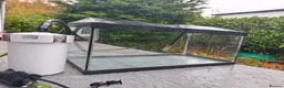 Other/Mixed Breed fish for sale: 50L Aquarium, With 400L/H Ext. Filter +accessories - Advert 1