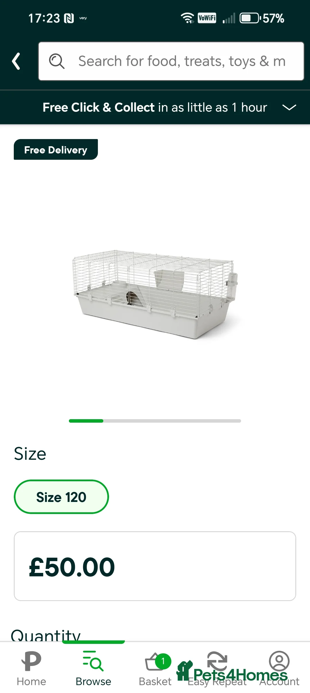 Guinea Pig rodents for sale: 2 male guinea pigs in ELY - Advert 3