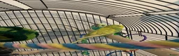 Budgerigars birds for sale: Two males and a female sold with two cages in Peterborough - Advert 5