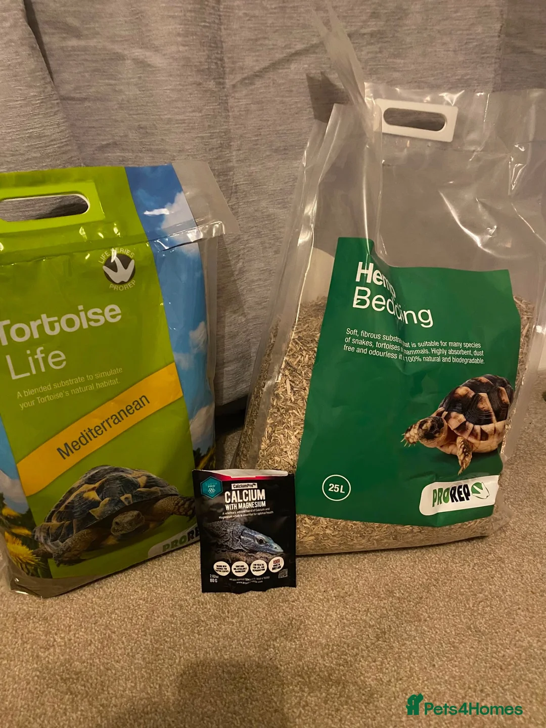 Tortoise reptiles for sale: Horsefield Tortoise - Advert 6