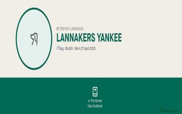 Labrador Retriever dogs for sale: Black Labrador Puppies - Advert 16