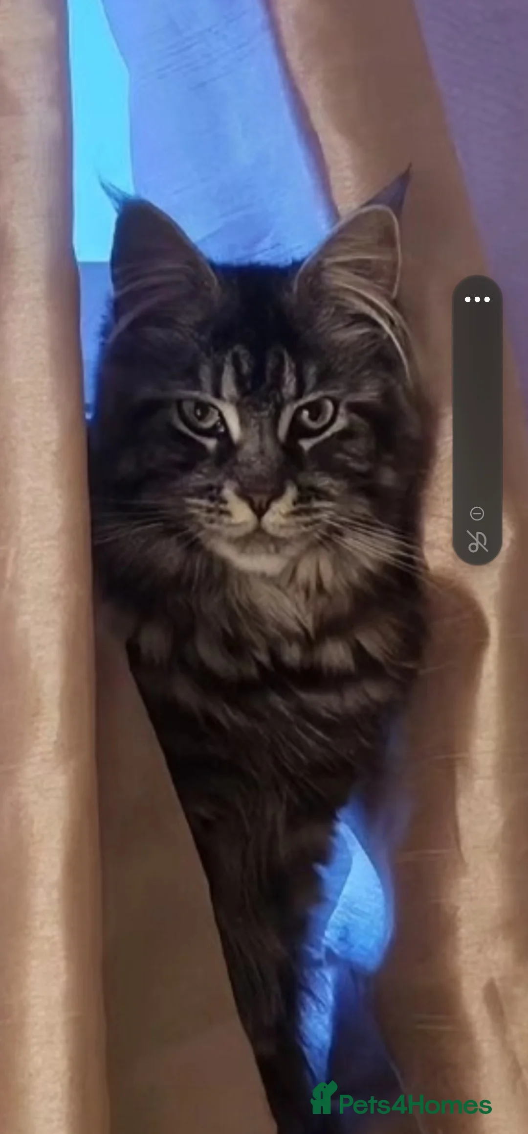 Gallery Image {{count}}