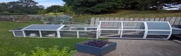 Ducks poultry for sale: 3 Call Ducks in Wrexham - Advert 4