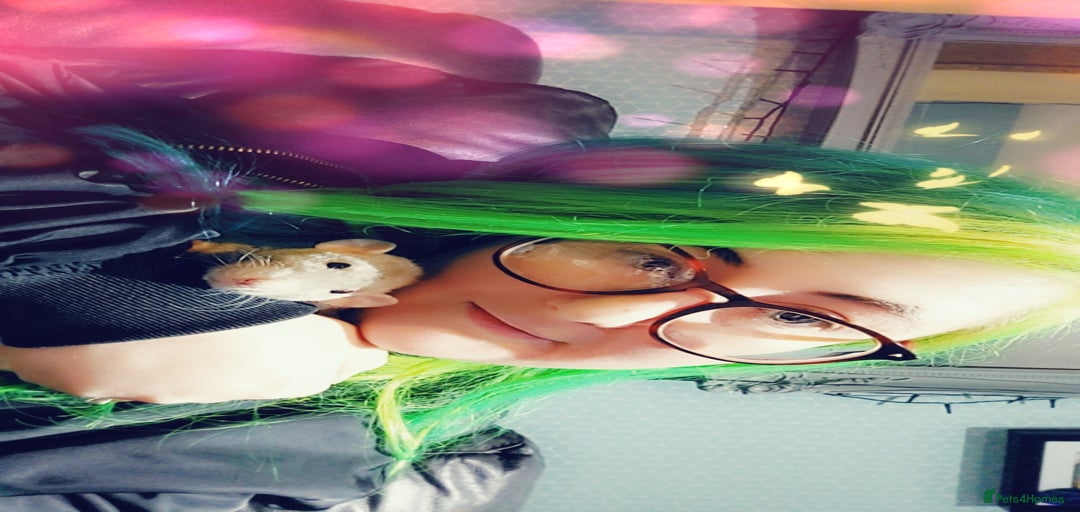 Gallery Image {{count}}