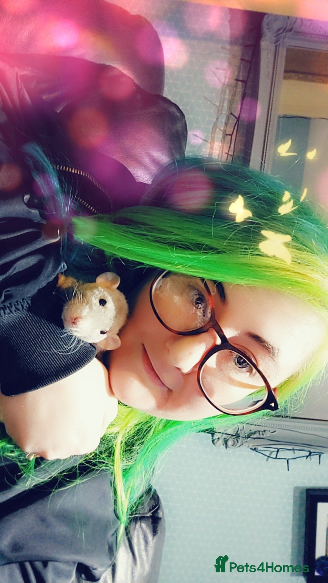 Gallery Image {{count}}