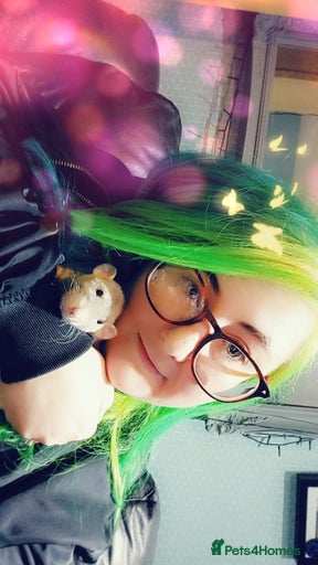 Gallery Image {{count}}