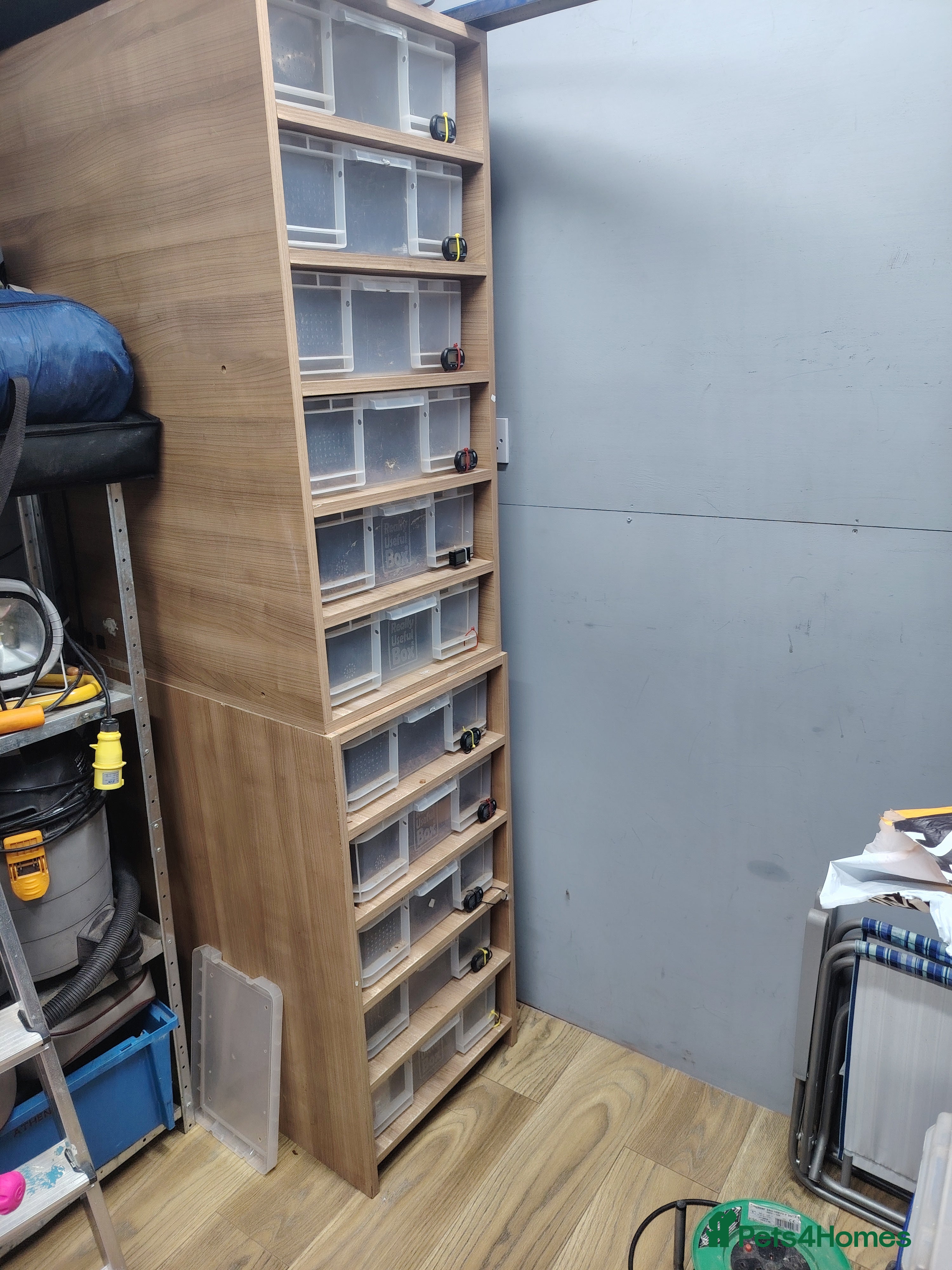 Mixed Breed reptiles Snake rack, 33l tub with thermostat  - Advert 2