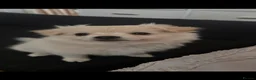 Pomchi dogs for sale: Beautiful playful well socialised Girl  - Advert 3