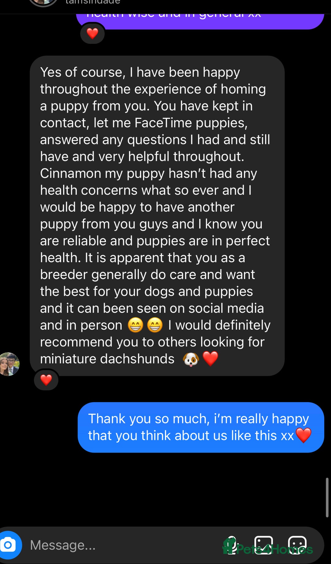 Miniature Dachshund dogs for sale: 𝕃𝕠𝕟𝕘 𝕙𝕒𝕚𝕣𝕖𝕕 𝕔𝕣𝕖𝕒𝕞 𝕡𝕦𝕡𝕡𝕚𝕖𝕤 🧸 - Image 20