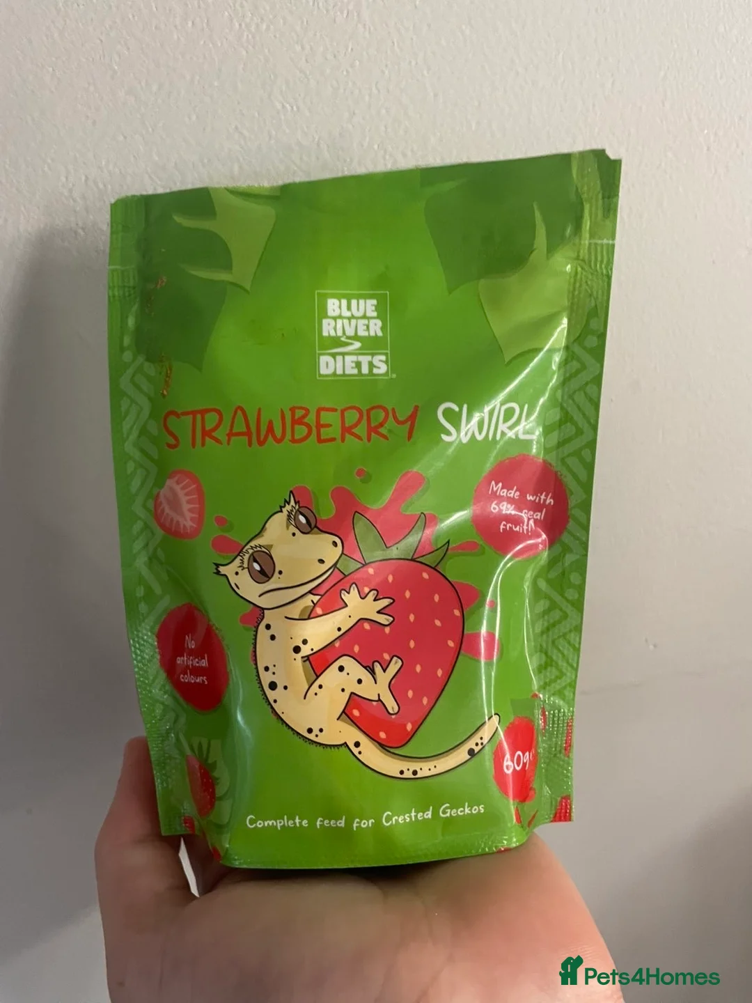 Gecko reptiles for sale: crested gecko and vivarium in Waterlooville - Advert 11