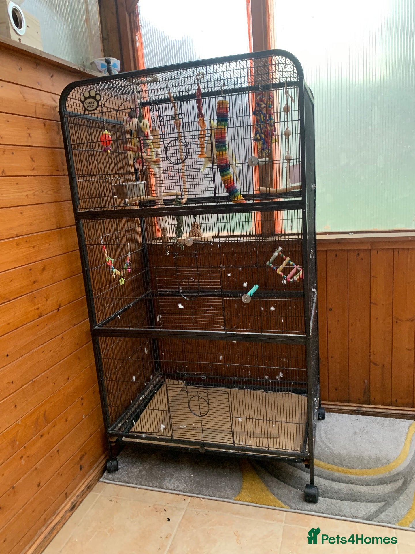 Cockatiels birds for sale: REDUCED PRICE !!  Complete Cage Setup - Advert 11