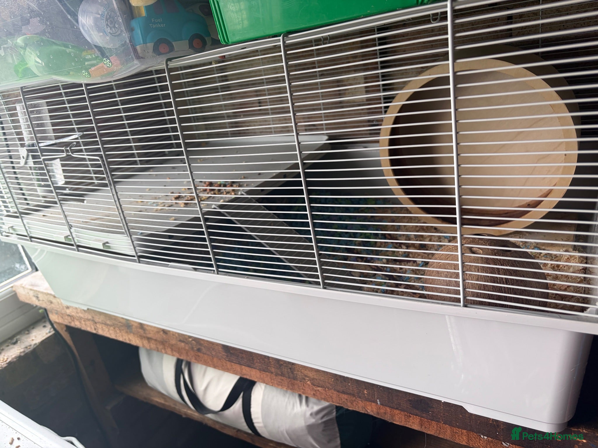 Mixed Breed rabbits Hamster with cage - Advert 9