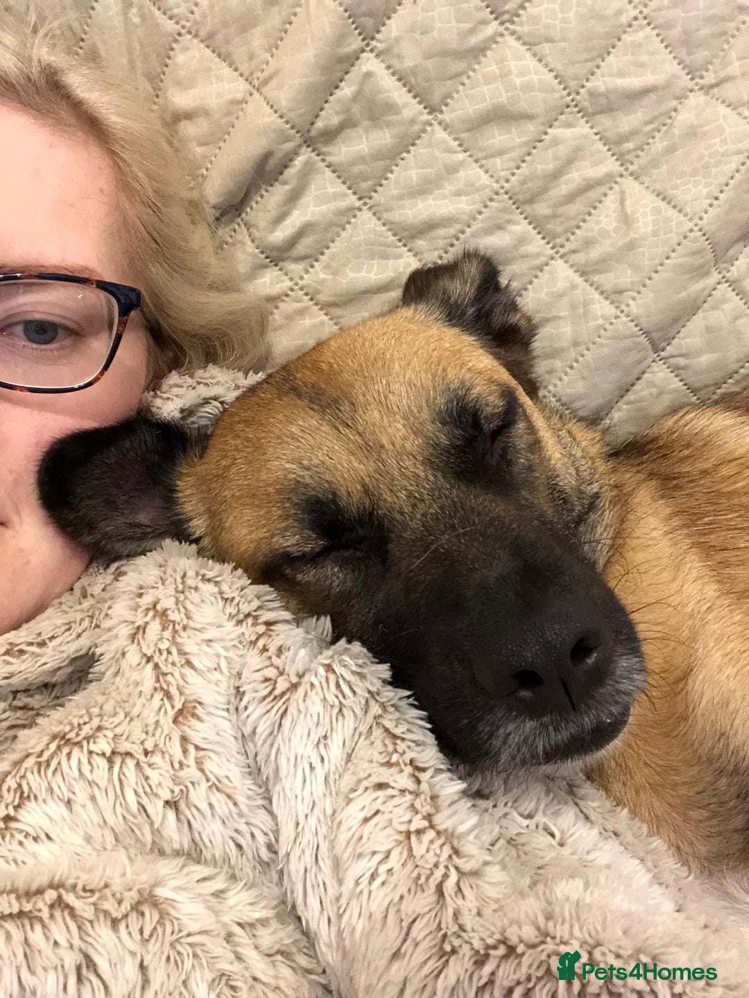 Mixed Breed dogs for adoption: Maple - Image 9