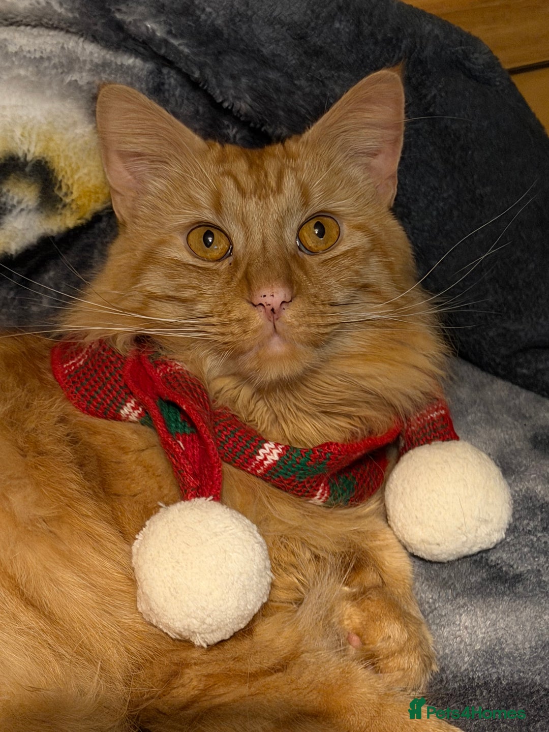 Gallery Image {{count}}