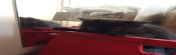 British Shorthair cats for sale: Black cute short-haired Kittens - Advert 3