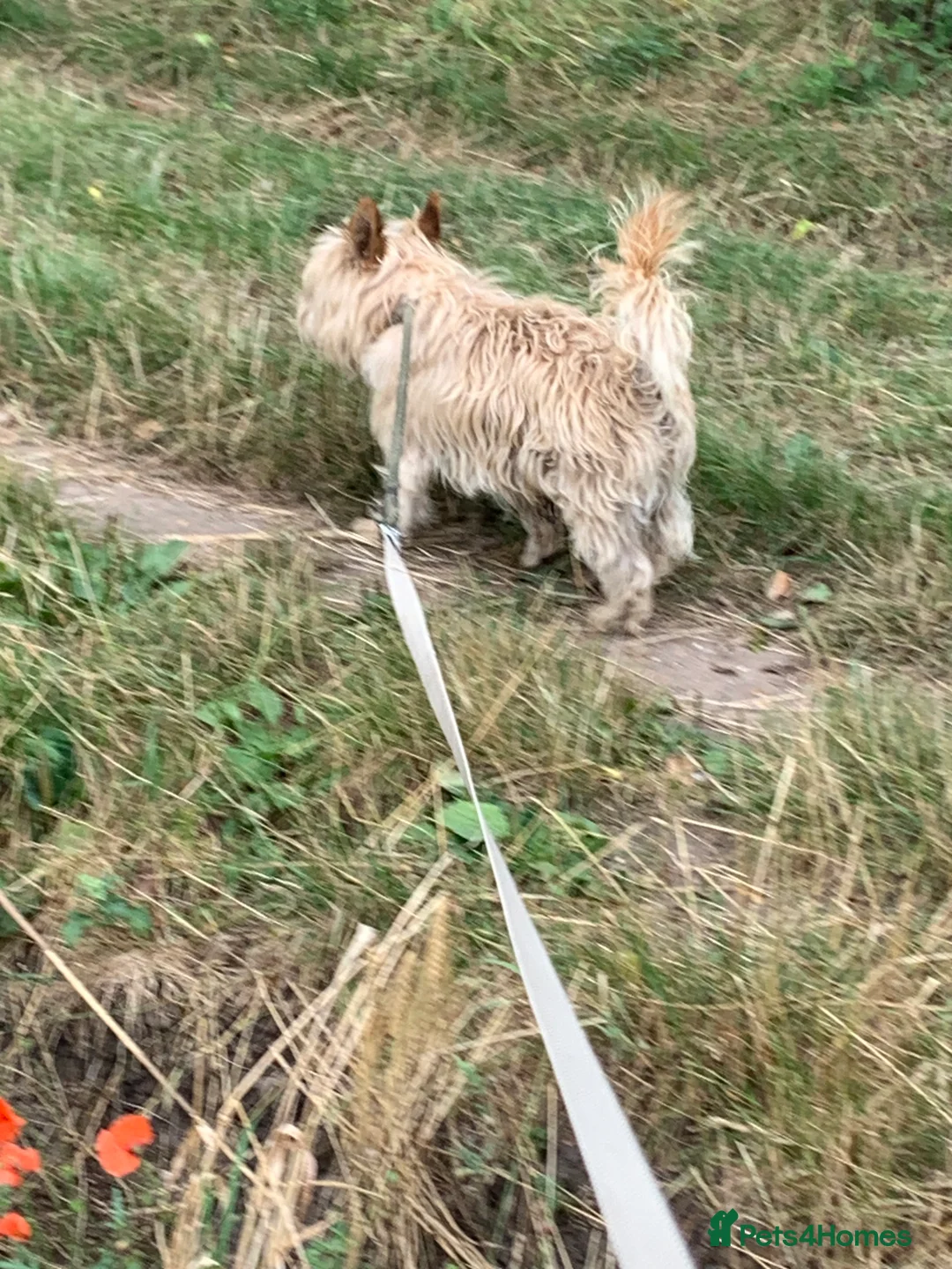 Gallery Image {{count}}