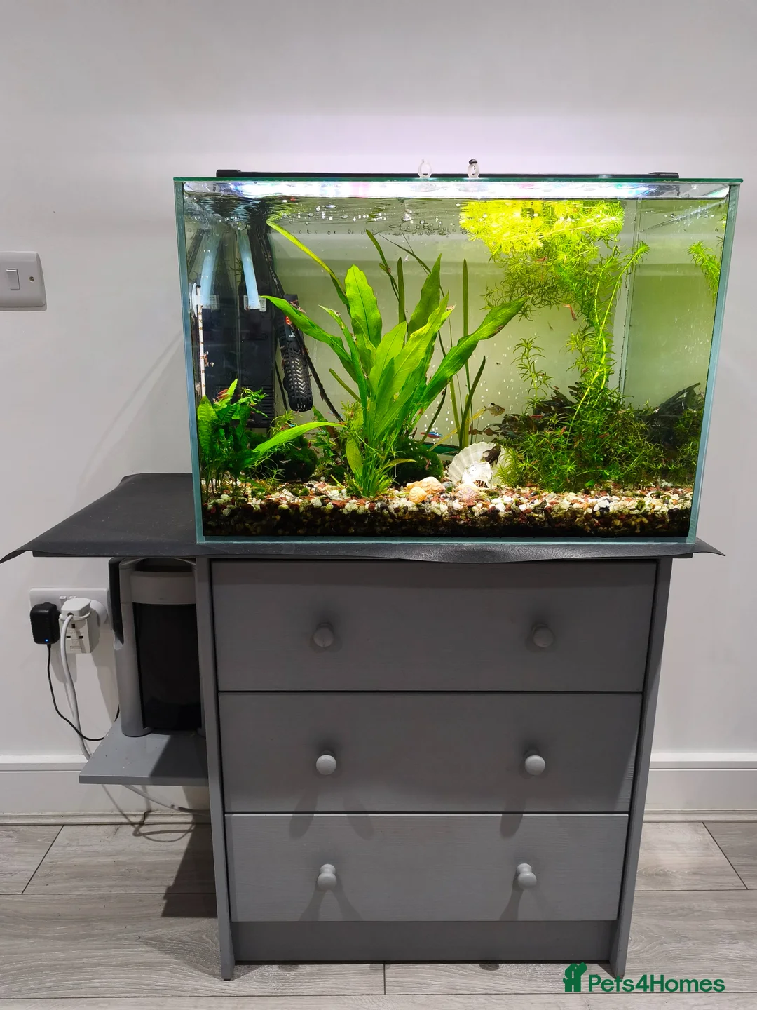 Other/Mixed Breed fish for sale: Working aquarium  in Waltham Abbey - Advert 1