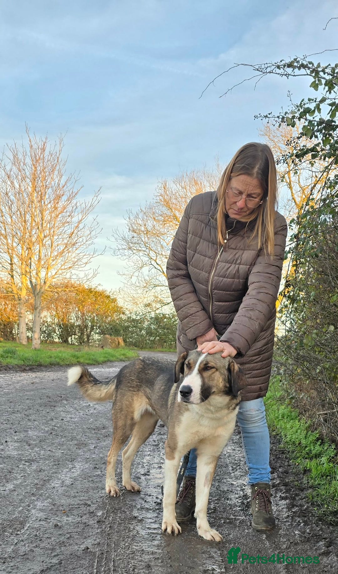 Mixed Breed dogs for adoption: BLANCA - Advert 11