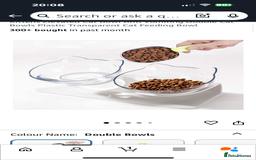 Mixed Breed cats for sale: Grey female kitten - Image 7