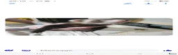 Ferret rodents for sale: Ferret kit in Bolton - Advert 1