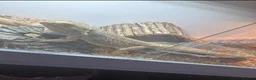 Bearded Dragon reptiles for sale: Male bearded dragon in Gainsborough - Advert 3