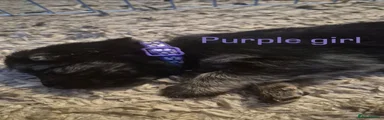 Purple girl 