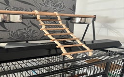 Parrots birds for sale: Large Parrot Cage - Image 17