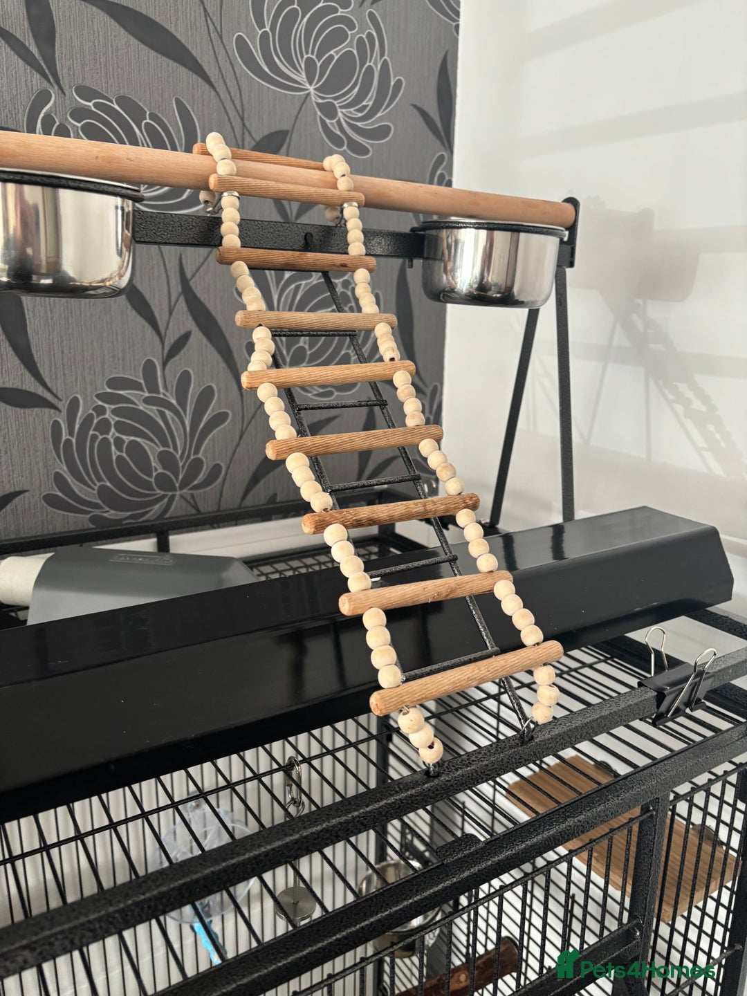 Parrots birds for sale: Large Parrot Cage - Image 17