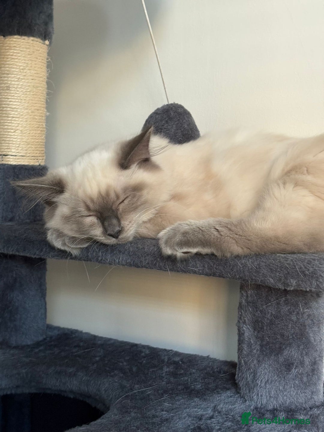 Gallery Image {{count}}