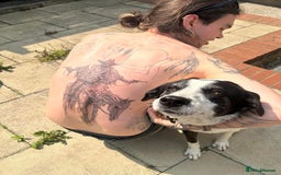 Mixed Breed dogs for adoption: 🐘Nellie🐘 for adoption, fostered in SHROPSHIRE - Image 8