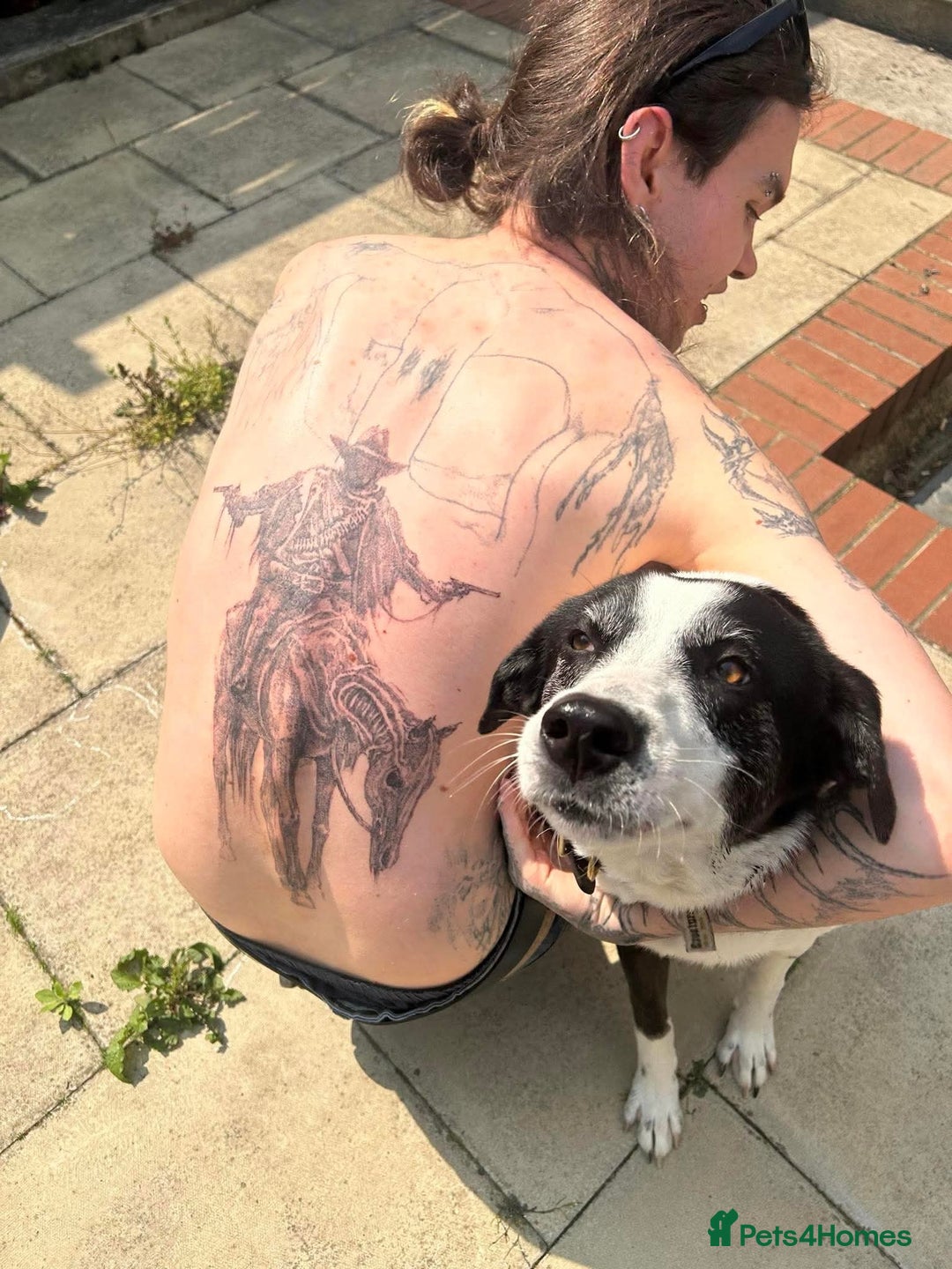 Mixed Breed dogs for adoption: 🐘Nellie🐘 for adoption, fostered in SHROPSHIRE - Image 8