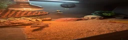Leopard Gecko reptiles for sale: Male Leopard Gecko - Advert 5