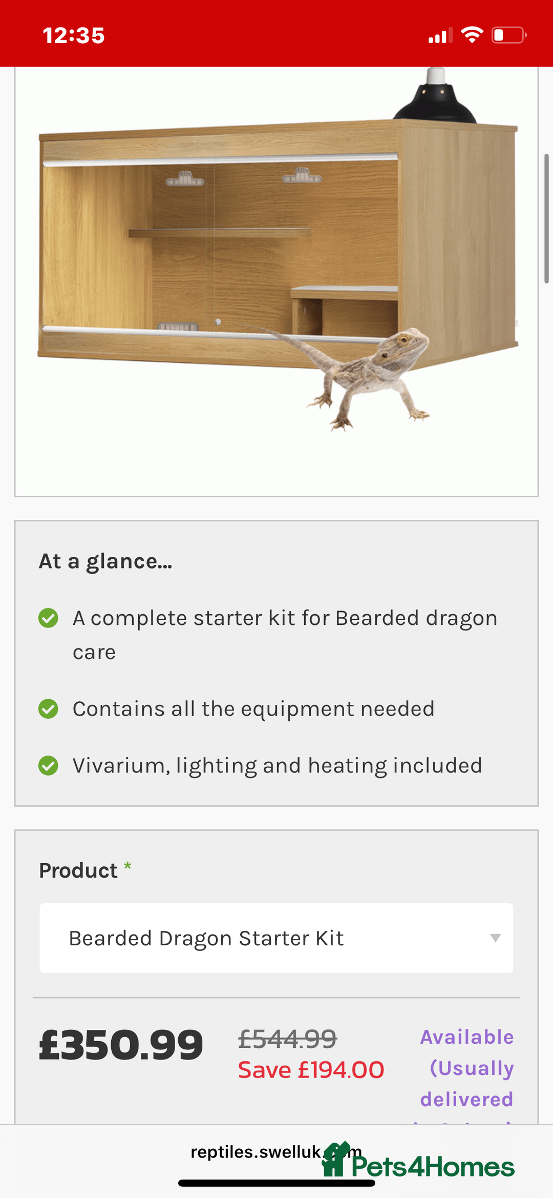 Bearded Dragon reptiles for sale: Bearded Dragon 20 months old  - Image 15