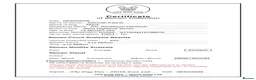 West Highland Terrier dogs for stud: West highland terrier for stud - Advert 3