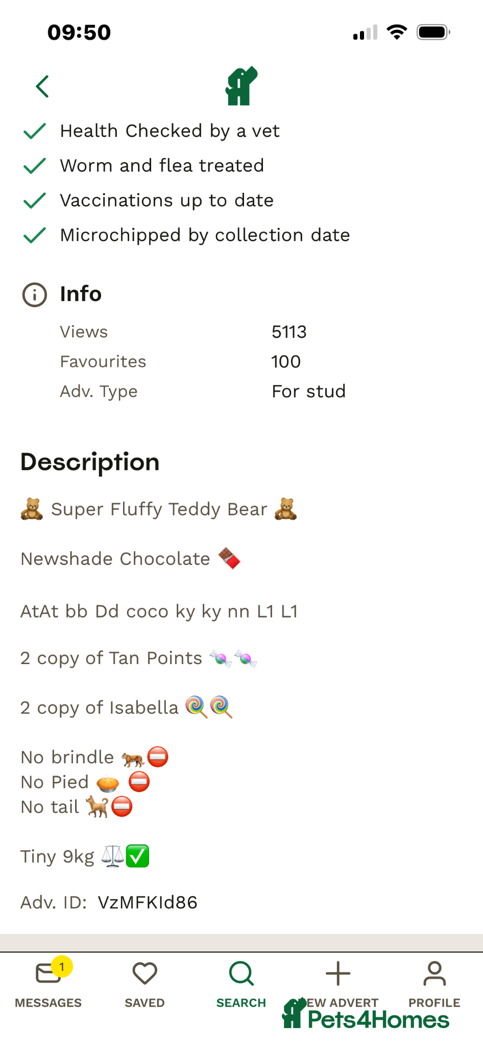 French Bulldog dogs Quality French bull dogs pups 💙💙💙🩷🩷🩷 - Advert 2