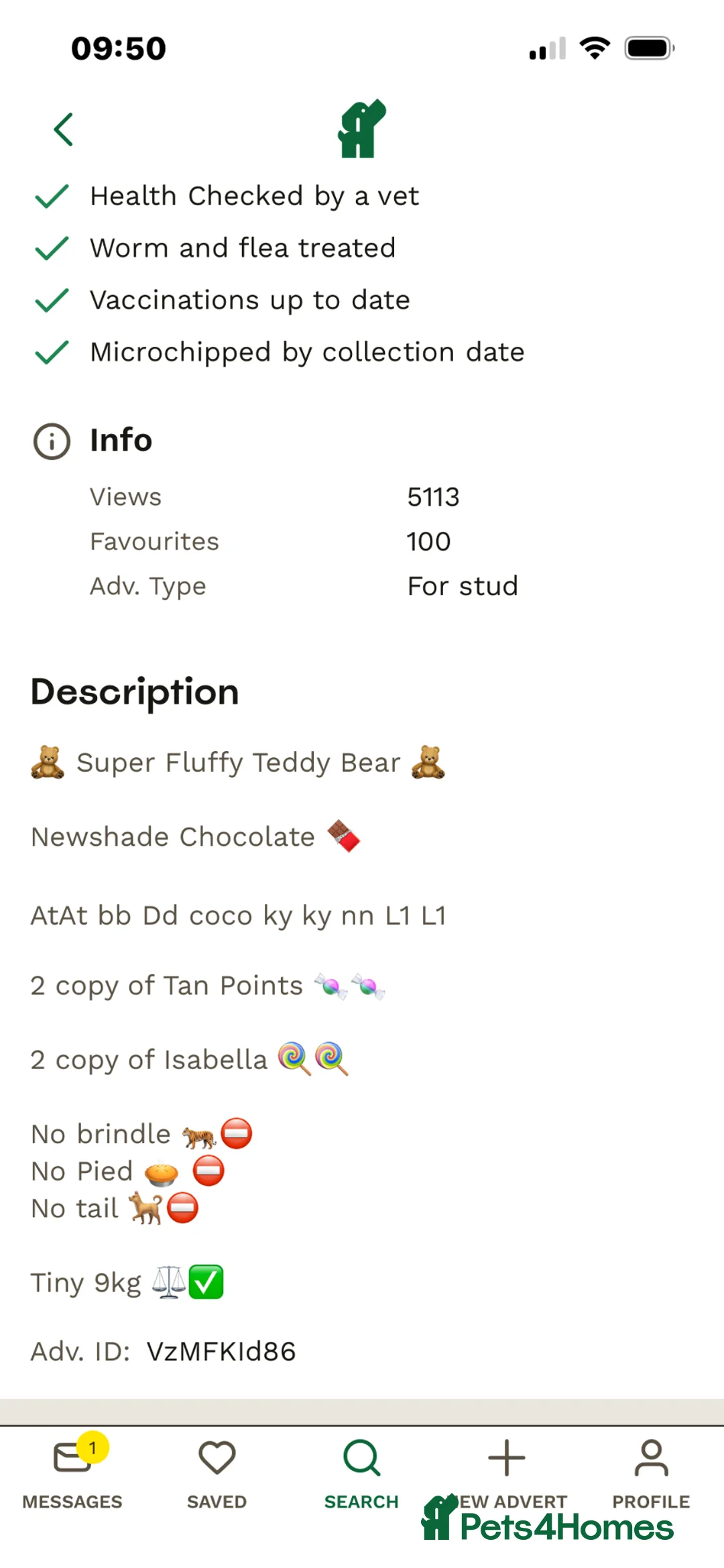 French Bulldog dogs for sale: Quality French bull dogs pups 💙💙💙🩷🩷🩷 - Advert 2