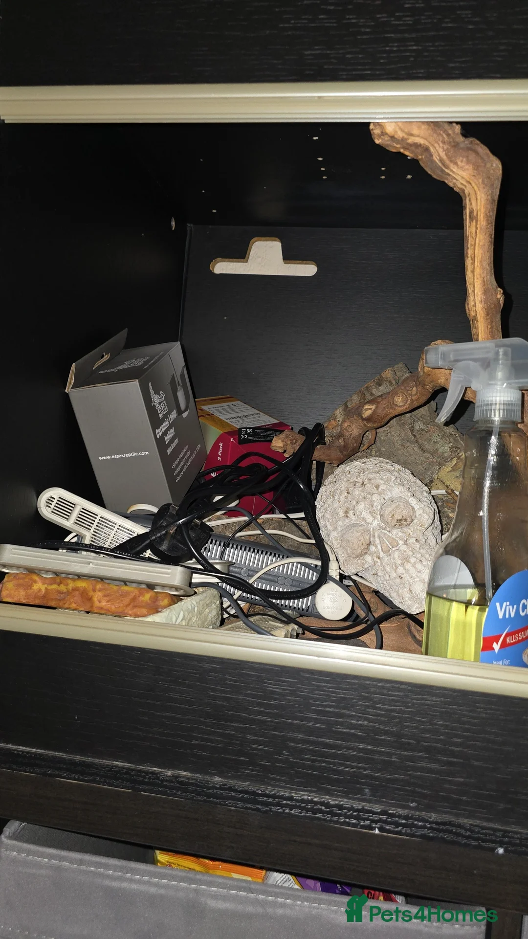 Mixed Breed reptiles for sale: 4 foot vivarium and accessories for sale - Advert 1