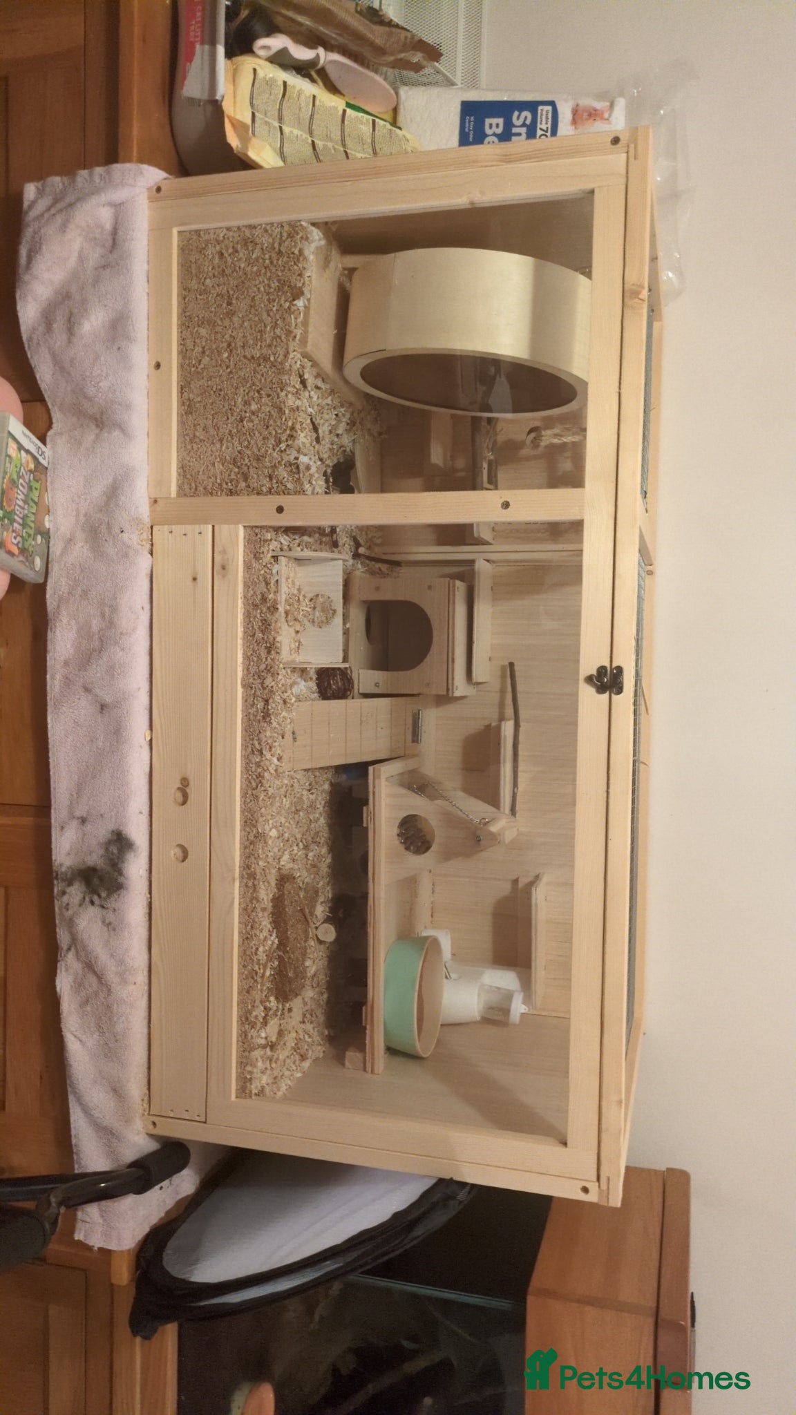 Hamster rodents for sale: Brown Syrian hamster and cage  - Advert 4