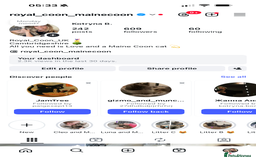 Maine Coon cats for sale: Maine Coon kittens World Champion bloodline ❤️ - Image 8