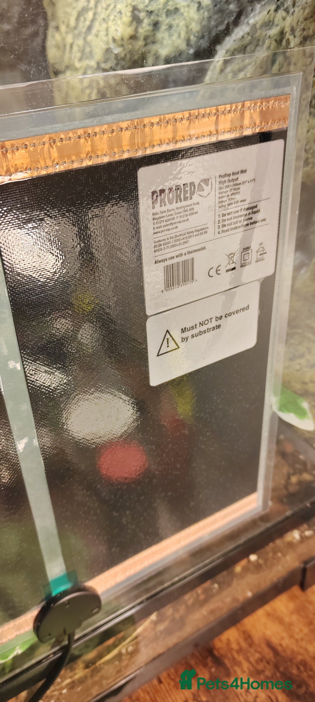 Gecko reptiles for sale: Full setup komodo  - Image 7