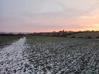 Mixed Breed dogs Looking for Labernard Stud for our Labernard girl in Huddersfield - Advert 2