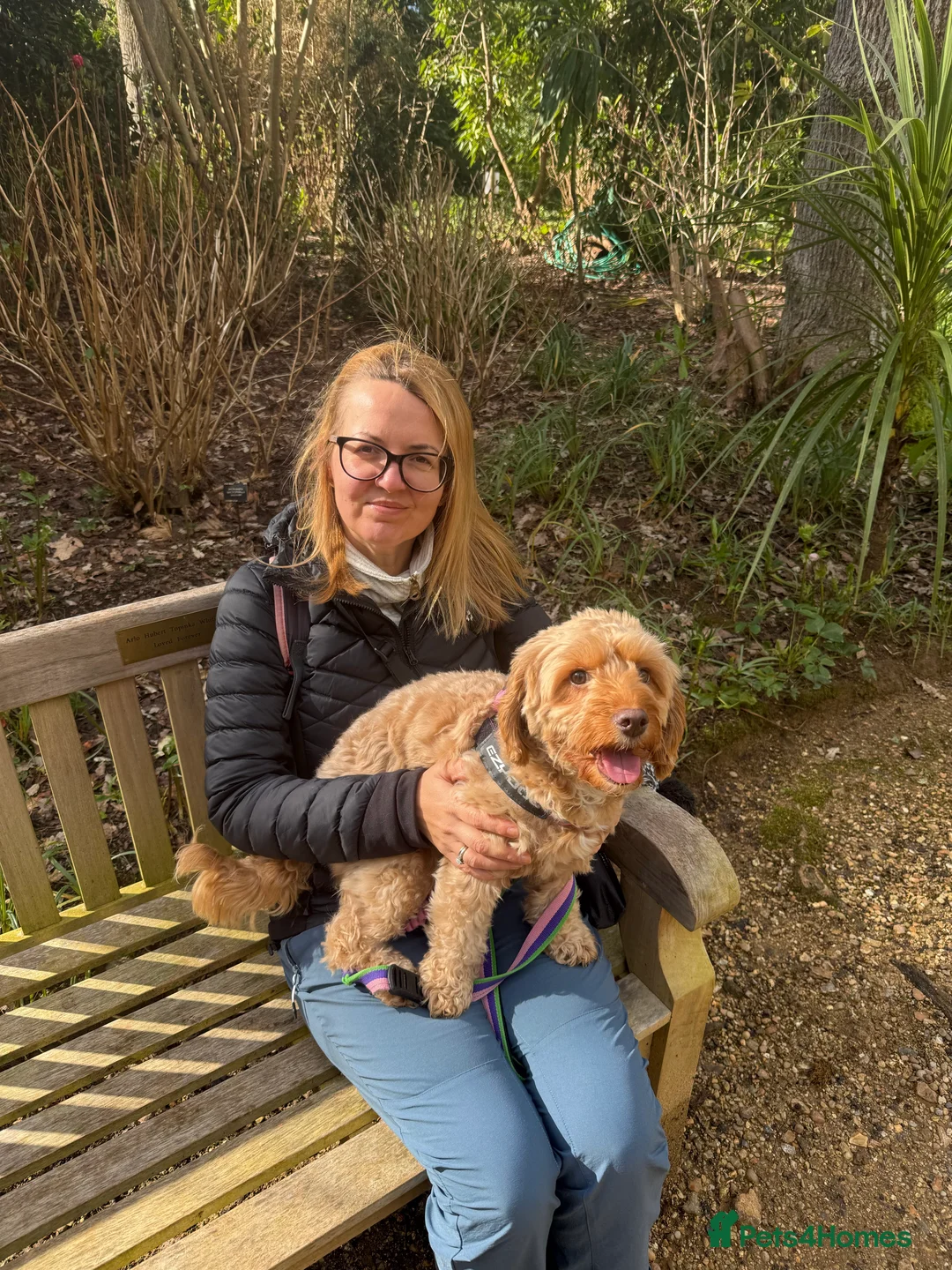 Gallery Image {{count}}