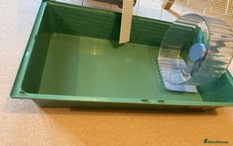 Hamster rodents for sale: Pets at home cage and wheel - Image 7