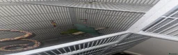Ringnecks birds for sale: Male and female ring neck  in Blackburn - Advert 3