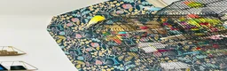 Budgerigars birds for sale: 5 budgies and cage  in Saltburn-by-the-Sea - Advert 1