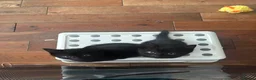 Mixed Breed cats for sale: 4 beautiful kittens left available  - Advert 5