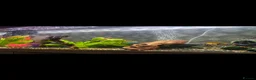 Tetras fish for sale: Fish tank/ aquarium set up in Shrewsbury - Advert 2