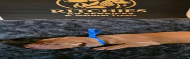 Dark Blue Male
