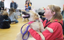 Mixed Breed dogs for adoption: Luanna - Norwich Norfolk  - Image 13