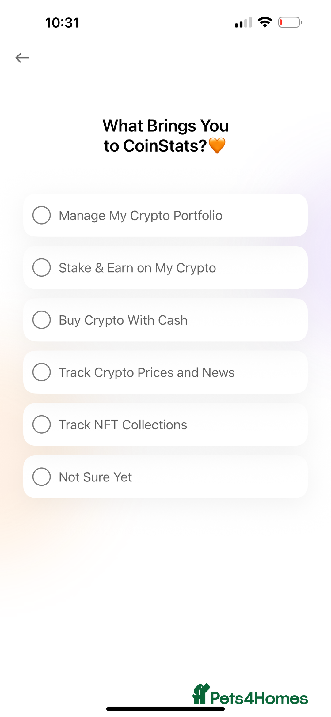 Mixed Breed cats for sale: Half British short haired  - Advert 5